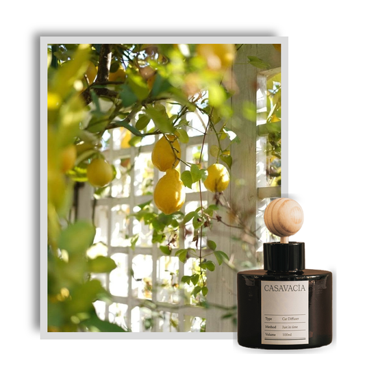 CASAVACIA Odorange Verte Car Air Freshener 100ml