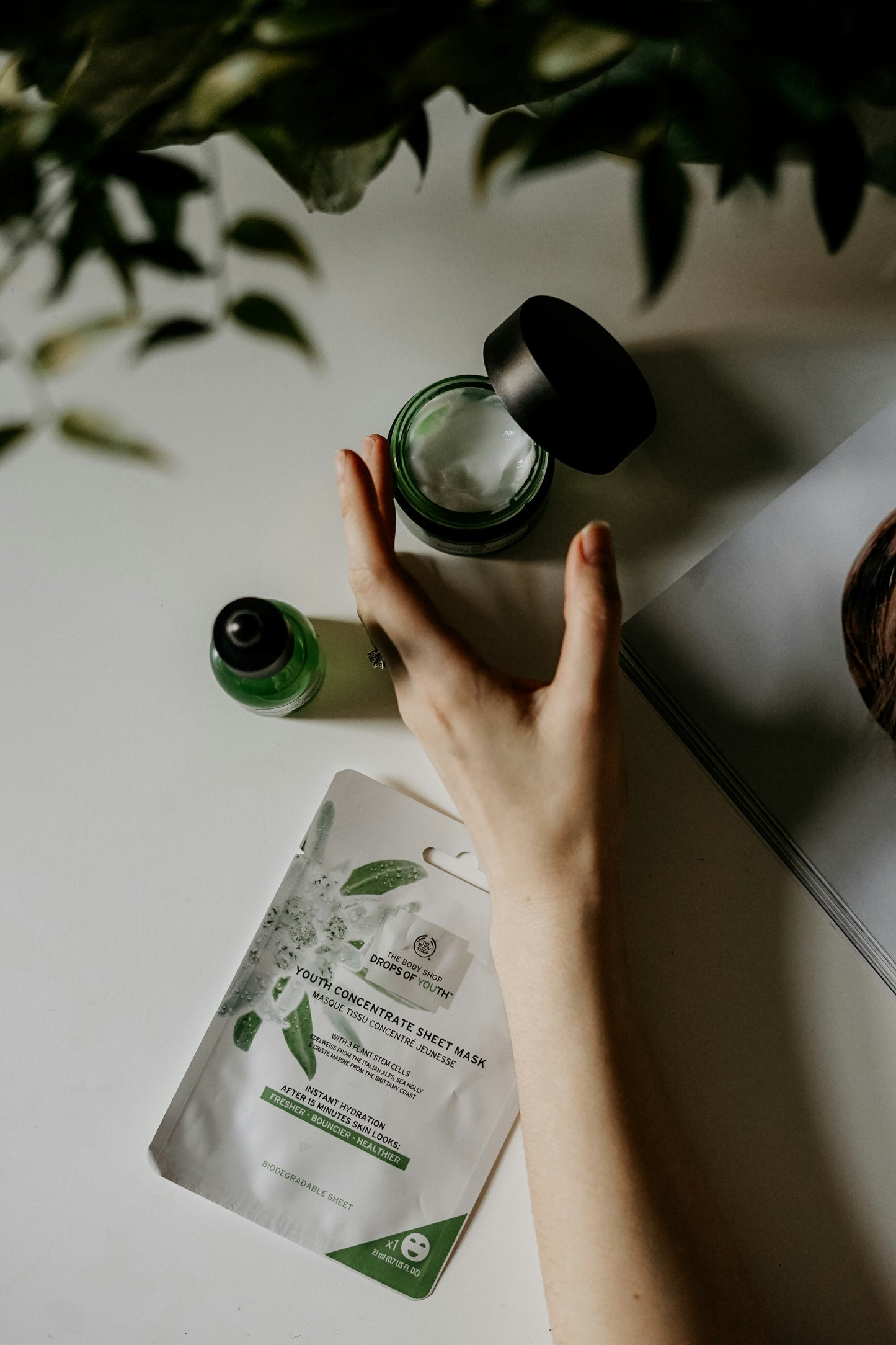 Green Tea Youth Sheet Mask (5-Pack)